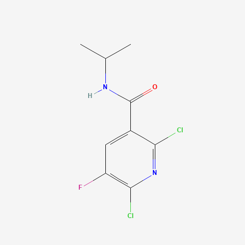 680217-86-1 2,6-DICHLORO-5-FLUORO-N-ISOPROPYLNICOTINAMIDE chemical structure