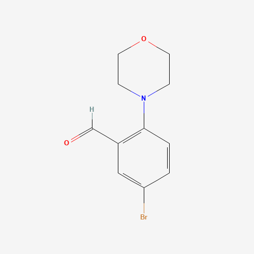 742099-65-6 5-BROMO-2-(N-MORPHOLINO)-BENZALDEHYDE chemical structure