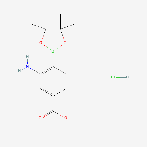 850567-49-6 (2-Amino-4-methoxycarbonylphenyl)boronic acid pinacol ester hydrochloride chemical structure