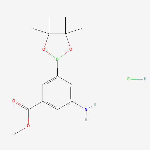 850567-50-9 (3-AMINO-5-METHOXYCARBONYL)BENZENEBORONIC ACID PINACOL ESTER HYDROCHLORIDE chemical structure