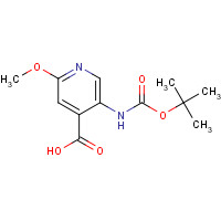 183741-86-8 5-(TERT-BUTOXYCARBONYLAMINO)-2-METHOXYPYRIDINE-4-CARBOXYLIC ACID chemical structure