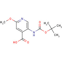 183741-86-8 5-(TERT-BUTOXYCARBONYLAMINO)-2-METHOXYPYRIDINE-4-CARBOXYLIC ACID chemical structure