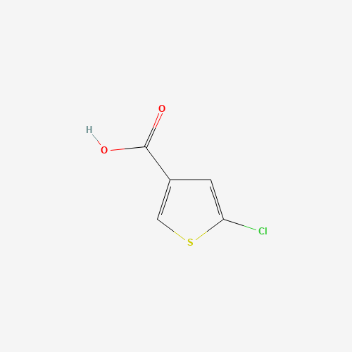 36157-42-3 5-CHLOROTHIOPHENE-3-CARBOXYLIC ACID chemical structure