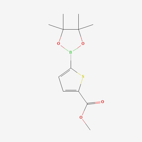 916138-13-1 5-METHOXYCARBONYLTHIOPHENE-2-BORONIC ACID PINACOL ESTER chemical structure