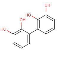 19261-03-1 [1,1-Biphenyl]-2,2,3,3-tetrol(9CI) chemical structure