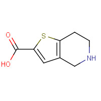 116118-98-0 4,5,6,7-tetrahydrothieno[3,2-c]pyridine-2-carboxylic acid chemical structure