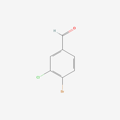 120077-69-2 4-BROMO-3-CHLORO-BENZALDEHYDE chemical structure