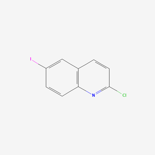 124467-20-5 2-CHLORO-6-IODO-QUINOLINE chemical structure