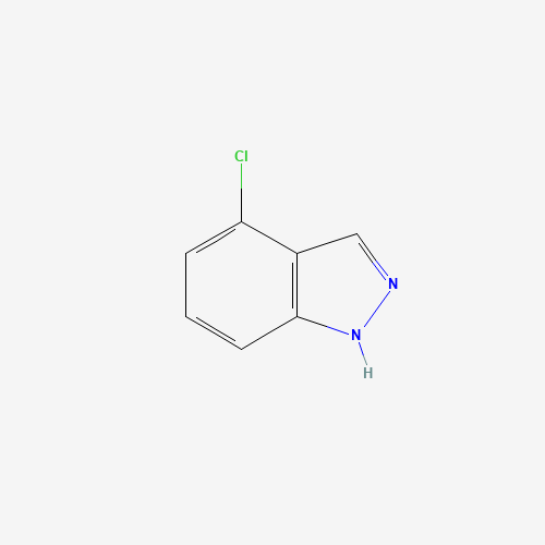 13096-96-3 4-CHLORO (1H)INDAZOLE chemical structure