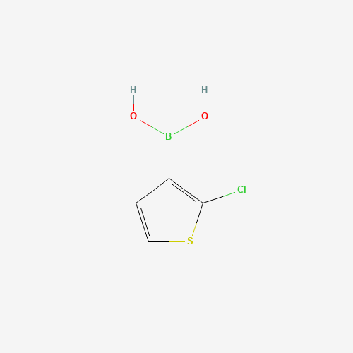 177734-82-6 2-Chlorothiophene-3-boronic acid chemical structure