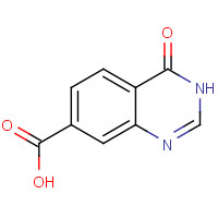 202197-73-7 3,4-DIHYDRO-4-OXOQUINAZOLINE-7-CARBOXYLIC ACID chemical structure