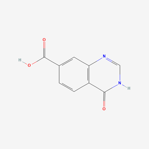 202197-73-7 3,4-DIHYDRO-4-OXOQUINAZOLINE-7-CARBOXYLIC ACID chemical structure