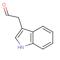 2591-98-2 2-(1H-indol-3-yl)acetaldehyde chemical structure