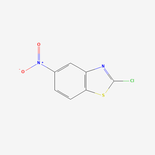 3622-38-6 Benzothiazole,2-chloro-5-nitro-(7CI,8CI,9CI) chemical structure
