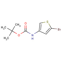 494833-75-9 2-BROMO-4-(N-TERT-BUTYLOXYCARBONYLAMINO)THIOPHENE chemical structure
