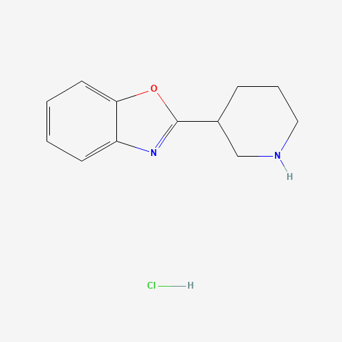 51785-15-0 2-PIPERIDIN-3-YL-1,3-BENZOXAZOLE chemical structure