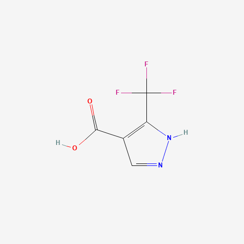543739-84-0 5-(TRIFLUOROMETHYL)-1H-PYRAZOLE-4-CARBOXYLIC ACID chemical structure
