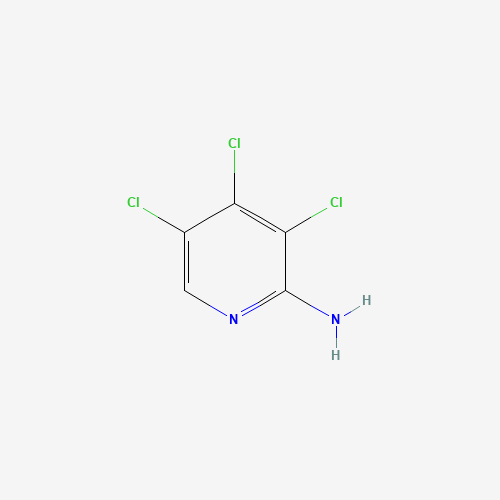 55933-91-0 2-AMINO-3,4,5-TRICHLOROPYRIDINE chemical structure