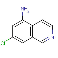 608515-70-4 5-Isoquinolinamine,7-chloro-(9CI) chemical structure