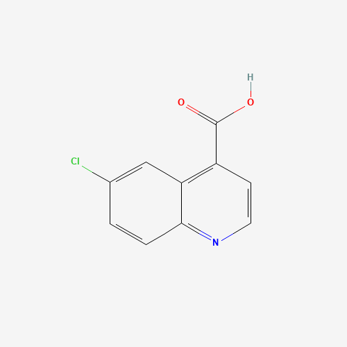 62482-29-5 6-CHLORO-QUINOLINE-4-CARBOXYLIC ACID chemical structure