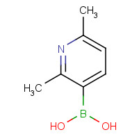 693774-55-9 2,6-DIMETHYL-PYRIDINE-3-BORONIC ACID chemical structure