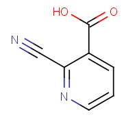 73112-09-1 2-CYANOPYRIDINE-3-CARBOXYLIC ACID chemical structure