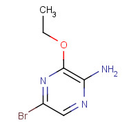77112-66-4 2-AMINO-5-BROMO-3-ETHOXYPYRAZINE chemical structure