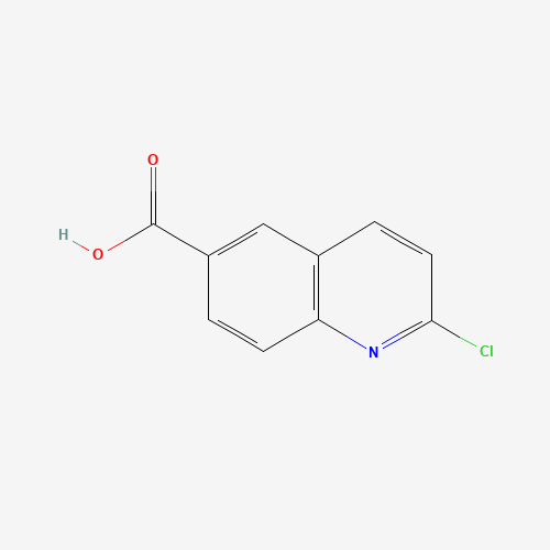 849996-80-1 2-chloroquinoline-6-carboxylic acid chemical structure