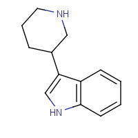204687-20-7 3-(PIPERIDIN-3-YL)-1H-INDOLE chemical structure