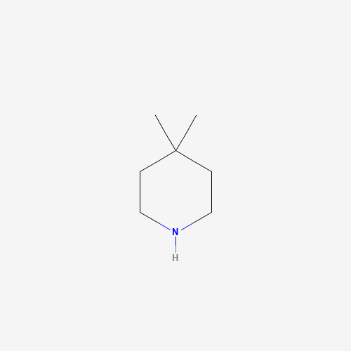 4045-30-1 4,4-dimethylpiperidine chemical structure