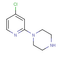 885277-30-5 1-(4-CHLORO-PYRIDIN-2-YL)-PIPERAZINE chemical structure