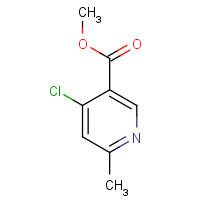 886372-05-0 4-CHLORO-6-METHYL-NICOTINIC ACID METHYL ESTER chemical structure
