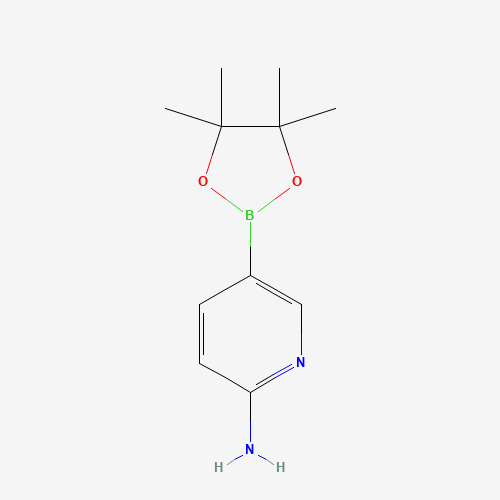 827614-64-2 2-AMINO-5-(4,4,5,5-TETRAMETHYL-1,3,2-DIOXABOROLAN-2-YL)PYRIDINE chemical structure