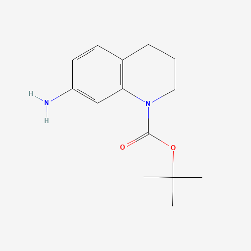 351324-70-4 tert-butyl 7-amino-3,4-dihydroquinoline-1(2H)-carboxylate chemical structure