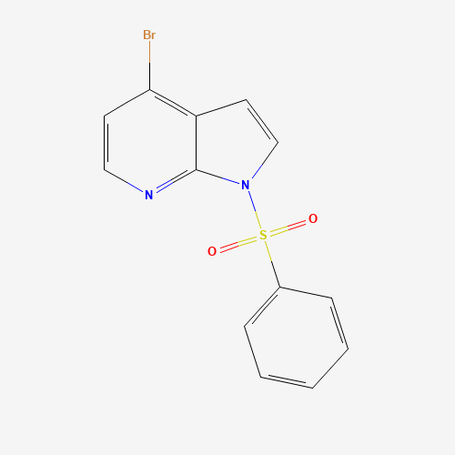 889939-25-7 4-BROMO-1-(PHENYLSULFONYL)-1H-PYRROLO[2,3-B]PYRIDINE chemical structure