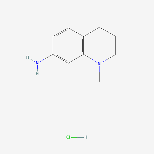927684-97-7 N-METHYL-1,2,3,4-TETRAHYDRO-7-QUINOLINAMINE HYDROCHLORIDE chemical structure