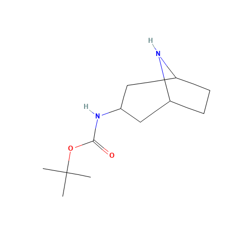 287114-25-4 tert-Butyl 8-aza-bicyclo[3.2.1]octan-3-ylcarbamate chemical structure