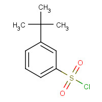 2905-26-2 3-TERT-BUTYL BENZENESULFONYL CHLORIDE chemical structure
