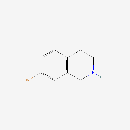 17680-55-6 7-BROMO-1,2,3,4-TETRAHYDRO-ISOQUINOLINE chemical structure