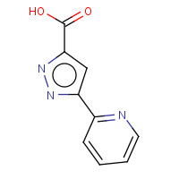 285984-25-0 5-tert-Butyl-2-p-tolyl-2H-pyrazol-3-ylamine chemical structure