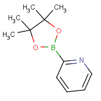 874186-98-8 Pyridine-2-boronic acid pinacol ester chemical structure