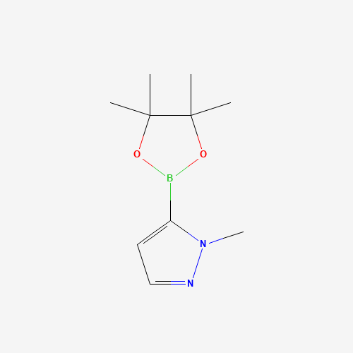 847818-74-0 1-Methyl-1H-pyrazole-5-boronic acid pinacol ester chemical structure