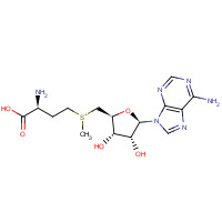 29908-03-0 S-Adenosyl-L-methionine chemical structure