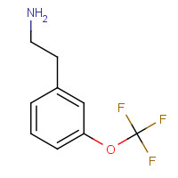 467461-10-5 {2-[3-(Trifluoromethoxy)phenyl]ethyl}amine chemical structure