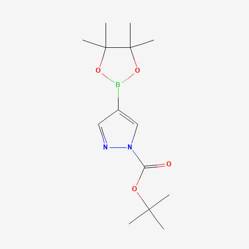 552846-17-0 1-Boc-pyrazole-4-boronic acid pinacol ester chemical structure