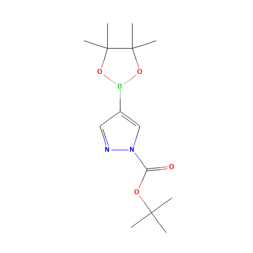 552846-17-0 1-Boc-pyrazole-4-boronic acid pinacol ester chemical structure