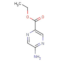 54013-06-8 Ethyl 5-amino-2-pyrazinecarboxylate chemical structure