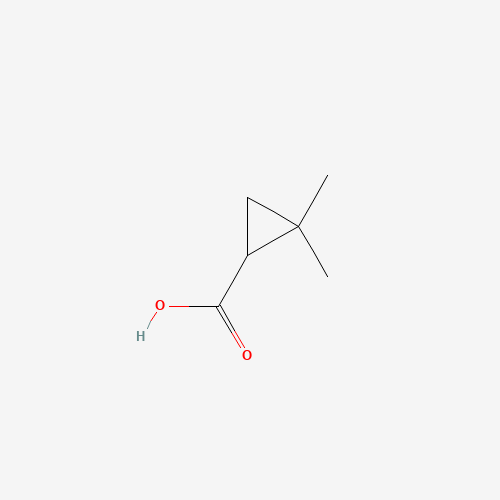 75885-59-5 2,2-DIMETHYL CYCLOPROPYL CARBOXYLIC ACID chemical structure