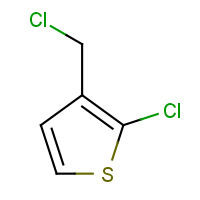 109459-94-1 2-Chloro-3-chloromethylthiophene chemical structure