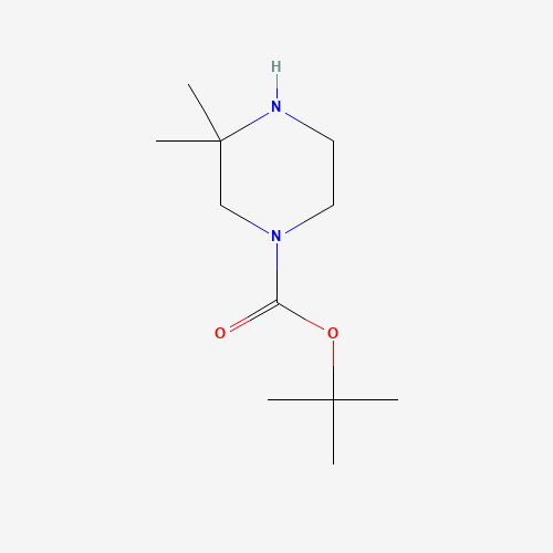 259808-67-8 1-Boc-3,3-dimethylpiperazine chemical structure